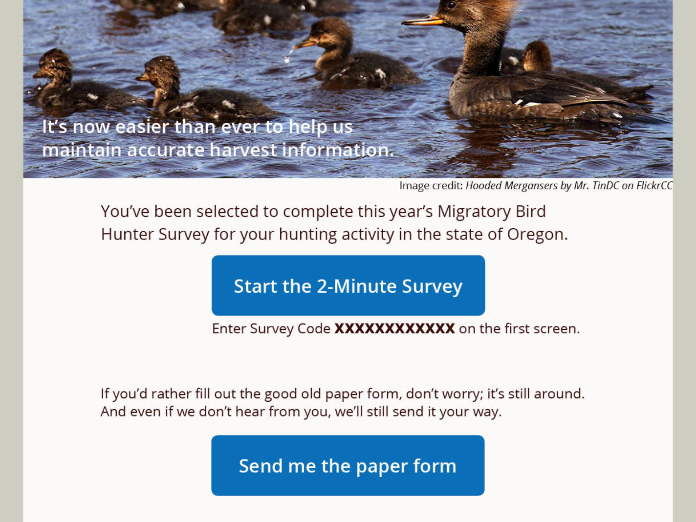 An email design featuring a photo of a family of waterfowl encouraging a survey participant to log their hunts